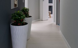 FOTO10.jpg